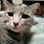 Marcia Fridley's profile image
