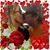Angie Morgan Lathrop's profile image