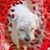 Anne Van Dreumel's profile image