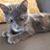 Christine McNutt's profile image