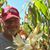 Vaughn E Davis's profile image