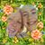 Alice Blackwell's profile image