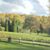Rosanne Peterson-Brandt's profile image