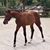 Maggie Fullington's profile image