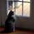 Michael Fuhrman Jr.'s profile image