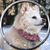 Lisa Tello's profile image