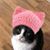 Robin Tahrir Dougherty's profile image