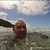 Gary Peterson's profile image