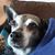 Felicia Bermudez's profile image