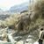 Zain Arshad's profile image
