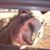 JackJack Rader's profile image