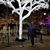 Shelley Glamann Nieder's profile image