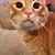 Michael Bell's profile image