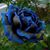 Teri Godfrey Fassold's profile image