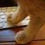 Jennifer W. Baxmeyer's profile image