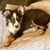 Susan Inman's profile image