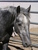 Tiffanie D.'s profile image