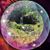 Diana Hill's profile image