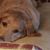 Cindy Turner's profile image