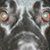 Tamara Cassidy Krull's profile image