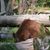 Kathy Korte's profile image