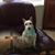 Wendy Jo Ouellette's profile image