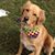 Barb Bush's profile image