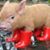 Patti Marsh's profile image