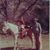 Leslie Jo Coffman Wheaton's profile image