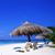 Lisa Martin Roebuck's profile image