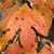 Mary Kay Heberling's profile image
