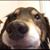 Chris Walle's profile image