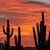 Debbie Terian Mann's profile image
