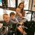Darlene Keehan Greene's profile image