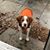 Wendy Hopkins Lightner's profile image