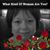 Tami S. Grosjean's profile image