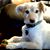 Cheryl Hulsey's profile image