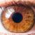 Amy Elizabeth Jackson's profile image