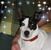 Marti Kazanes Carliano's profile image