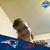 Audrey R Akers's profile image