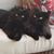 Sandi Kay's profile image