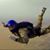 Sami Al-faifi's profile image