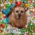 Lisa Christensen's profile image