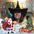 Pietrina Scopazzi Bivens's profile image