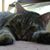 Jeannette Murry Harp's profile image