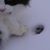 Jennifer Ball's profile image