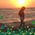 Kate Hopkins's profile image