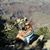 Jacy Sturgeon's profile image
