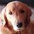 Alayne N Rosie's profile image