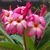 Nahid Nayer's profile image
